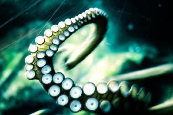 Kraken darknet ссылка тор