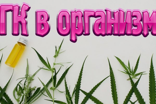 Кракен актуальная ссылка на сегодня