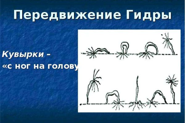 Solaris даркнет