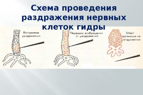 Кракен это что за сайт