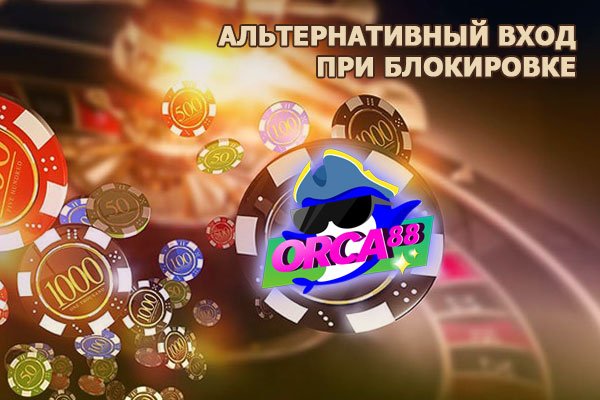 Пользователь не найден при входе на кракен