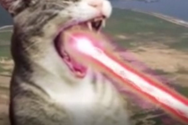 Кракен наркота что это