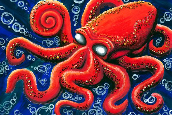 Kraken что это за магазин