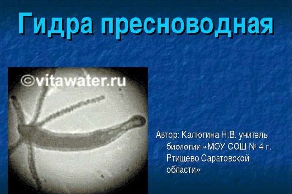 Как вывести деньги с кракена
