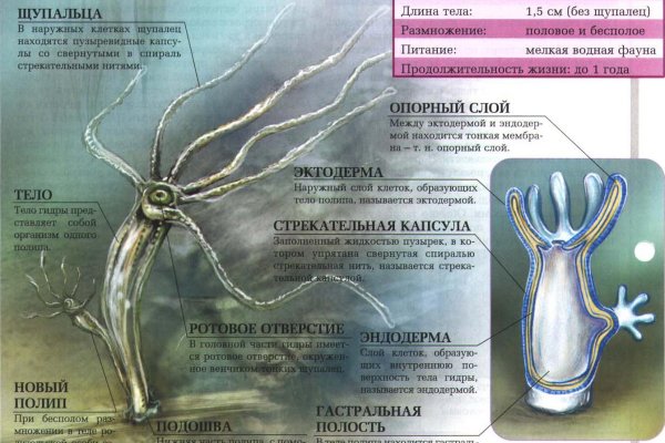 Kraken ссылка onion 2kmp