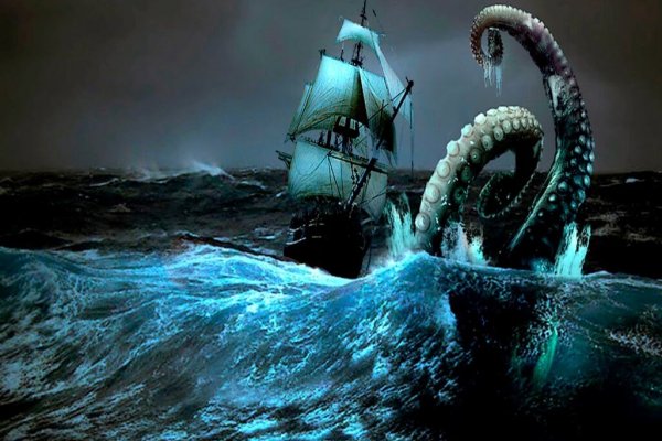 Kraken19 at