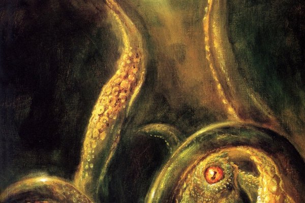 Официальный сайт kraken kraken clear com