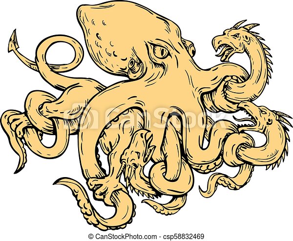 Kraken 12g